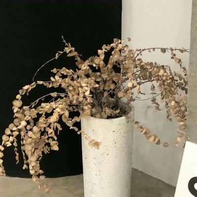 兽设复古风格设计兽圈社群